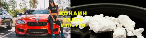 ГАЛЛЮЦИНОГЕННЫЕ ГРИБЫ Магас