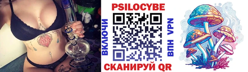 хочу   Ахтырский  Галлюциногенные грибы Psilocybine cubensis 